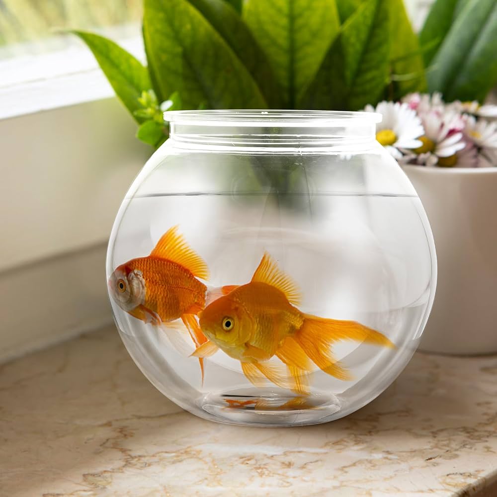 Aquariums & Fish Bowls