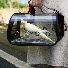 Bird Carriers