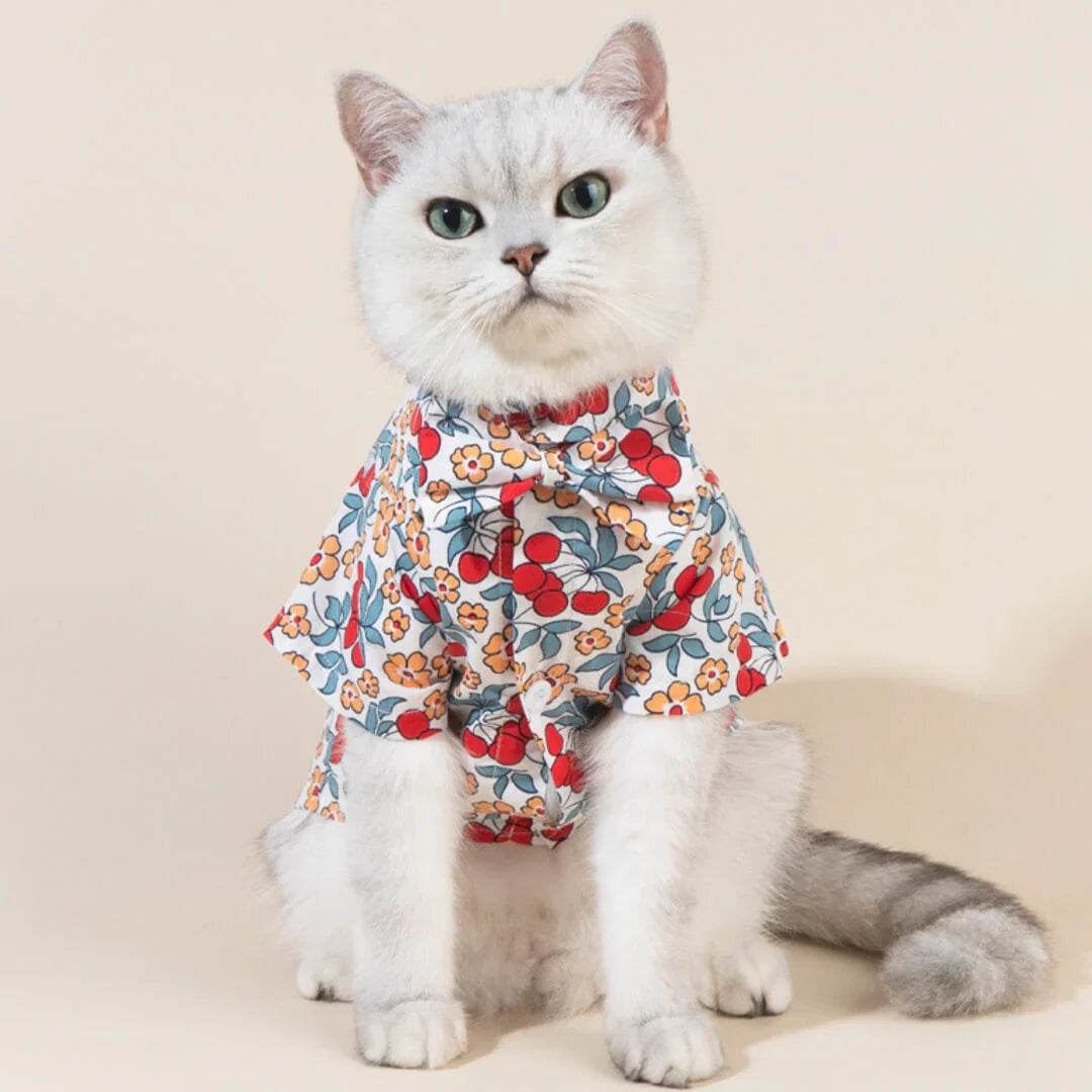 Cat Apparel