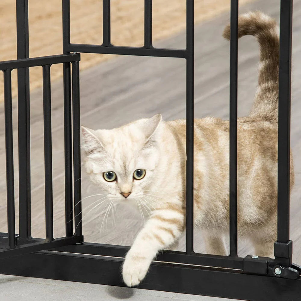 Cat Doors, Steps, Nets & Pens