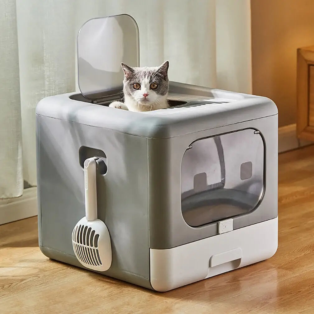 Cat Litter & Housebreaking