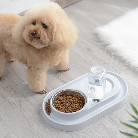 Dog Feeding & Watering Supplies