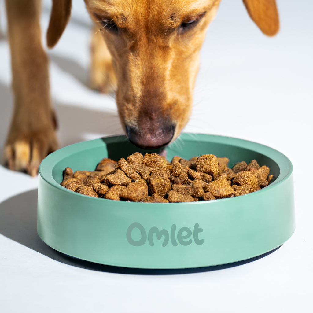 Dog Food