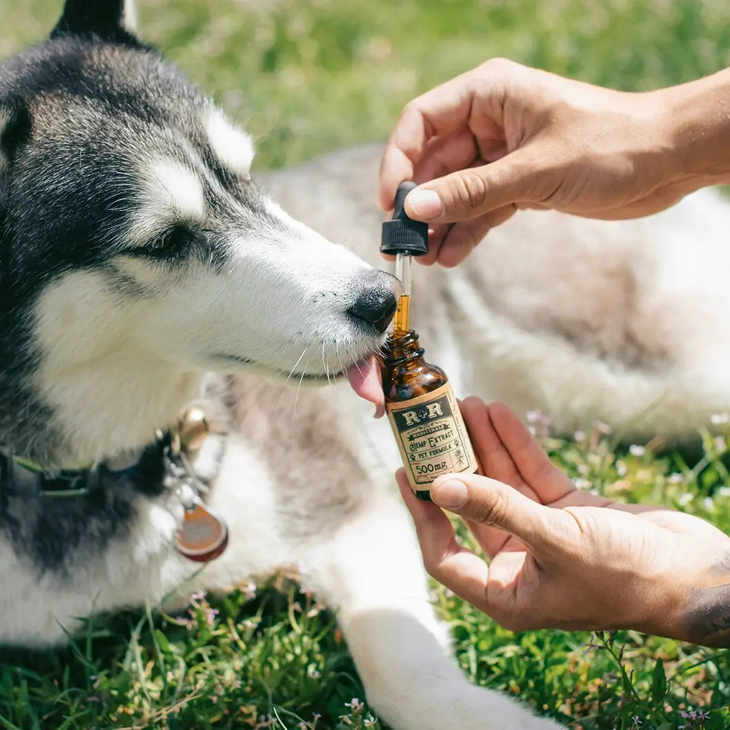 Dog Health Supplies