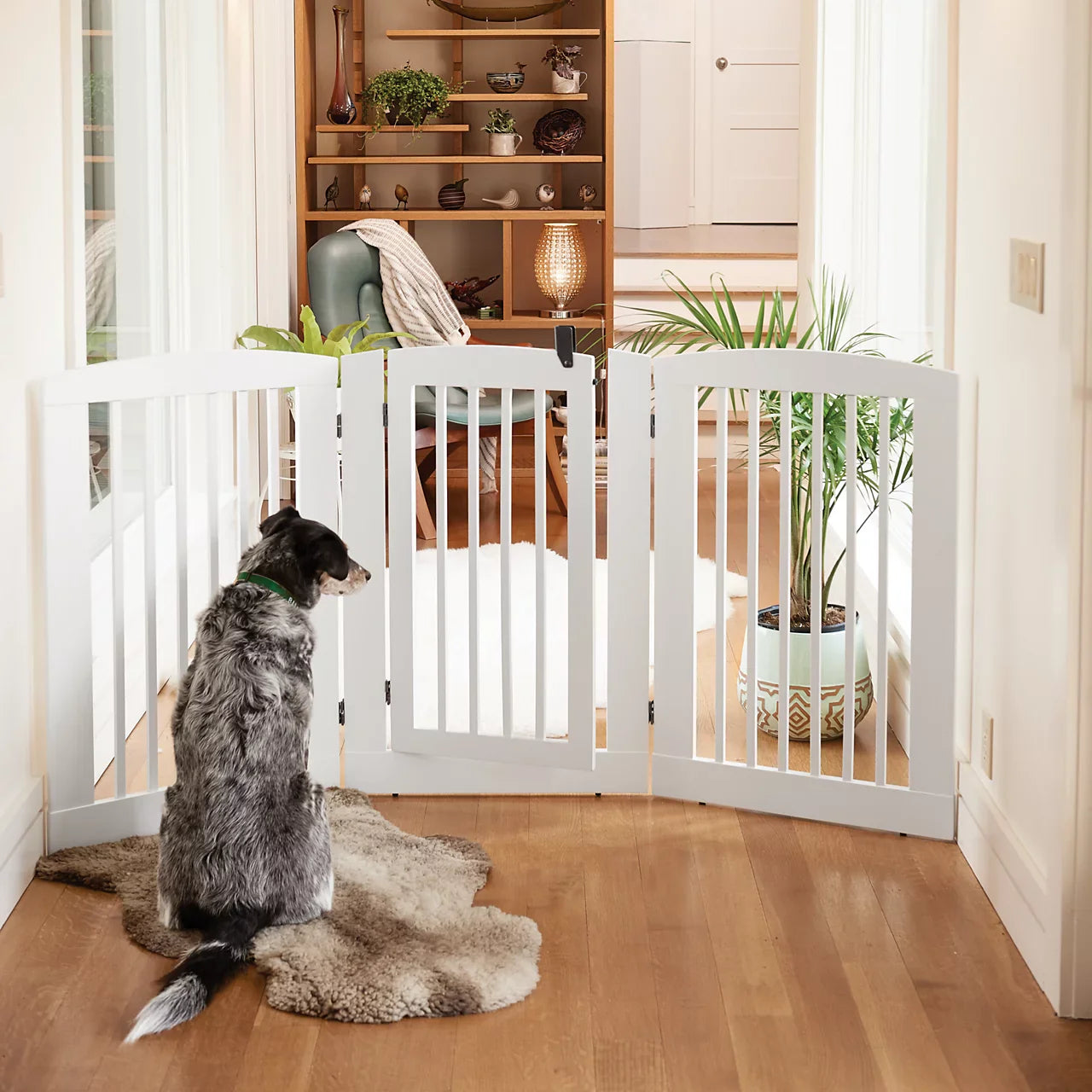 Doors, Gates & Ramps