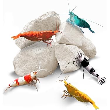 Fish Medication & Health Supplies
