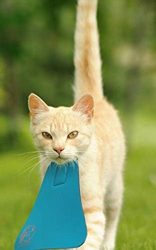 Bird Saving Cat Collar, Prevent Cats from Catching & Killing Birds, Anti Hunting Colorful Bib to Save Birds & Other Wildlife (Large, Purple)