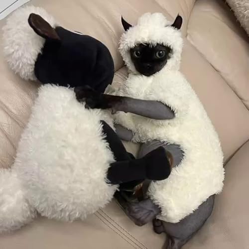 Warm Fleece Lined Winter Clothing for Sphynx & Devon Rex Cats | Soft Faux Lamb Wool | Cozy and Comfortable (Sheep Costume,M About 2-2.5kg/4.4-5.5pounds)