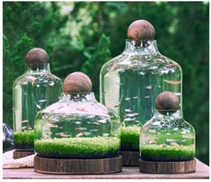 Ecological Aquarium Glass Fish Tank with Wooden Base Micro Landscape Self-circulating Hydroponic Plant Bottle Fish Bowl/Vase(L, A)