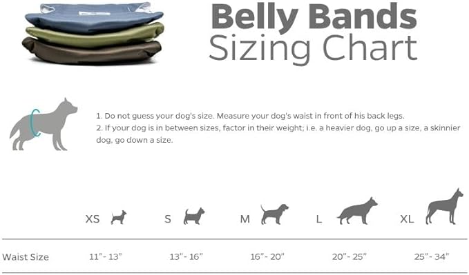 Pet Parents® Washable Belly Bands for Male Dogs (3pack) + Extendrs® of Durable Dog Diapers Male, Premium Male Dog Diapers & Dog Wraps (X-Small, Koda)