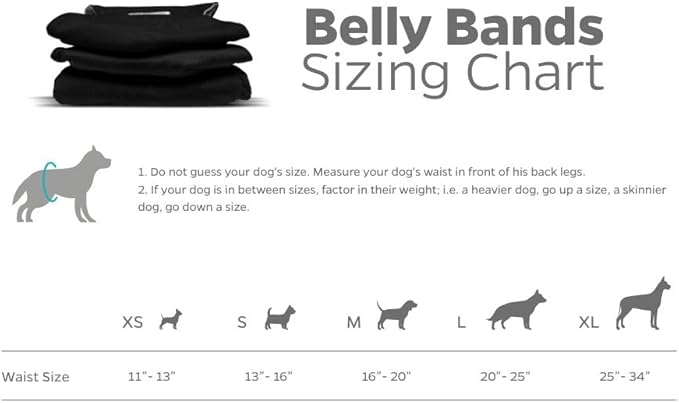 Pet Parents® Washable Belly Bands for Male Dogs (3pack) + Extendrs® of Durable Dog Diapers Male, Premium Male Dog Diapers & Dog Wraps (Large, Black)
