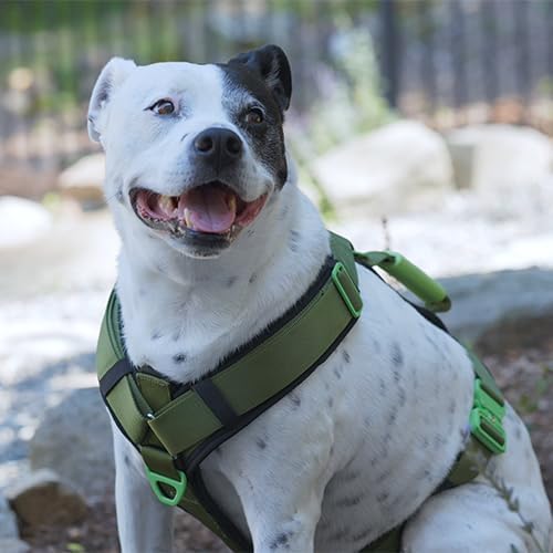 Ultimate Urban Premium Dog Harness - No Choke/Pull/Escape Dog Harness with Adjustable Padding, Heavy Duty, Easy On/Off, High Strength Buckles, Emergency Handle and 3 Connect Points (Black, M)