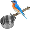 Wood Bird Perch with Bird Feeding Cups Stainless Steel Parrot Food Water Bowls Dish Feeder for Cockatiel Conure Budgies Parakeet [S] Feeding & Watering Supplies