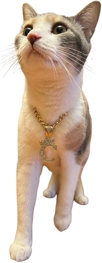 Initial Letter Cuban Chain Dog Chain Pet Chain Pet, Cat, Puppy Chain (24", A)