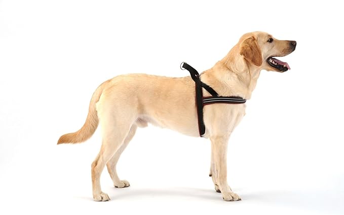 ComfortFlex Sport Dog Harness – No-Choke, Fully Padded, Non-Chafing Harness with Control Handle – Reflective, Lightweight, Adjustable for Active Dogs - Small/Medium, Bordeaux