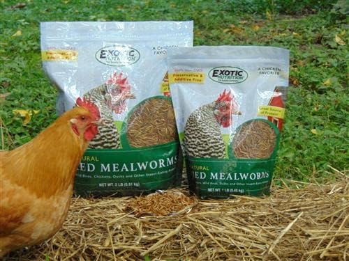 Dried Mealworms - 100% Natural, Non-GMO, High Protein, Bulk Insect Treat for Chicken, Laying Hen, Chick, Wild Bird, Bluebird, Duck, Goose, Turkey, Chickadee, Titmice, Wren, Reptile, Fish (5 lb.)