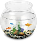 Fish Tank Transparent Acrylic Fish Tank Aquarium Breeding Box Fish House Aquatic Pet Home Desktop Gasket Marine Portable Bowl for Fish Tank Glass Fish Tank(Large)