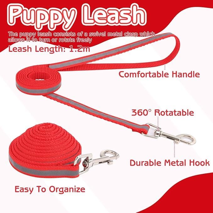 Reflective Puppy Collar and Leash Sets, Small Dog Collars for Small Dogs Adjustable Kitten Collar with Bell for Tiny Little XXS XS Extra Small Breed Pets Cats Girls Female, Pink