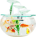 Fish Tank Goldfish Bowl Fish Tank Goldfish Flowing Water Ornament Glass Mini Desktop Home Living Room Aquarium Starter Kits Glass Fish Tank(B)