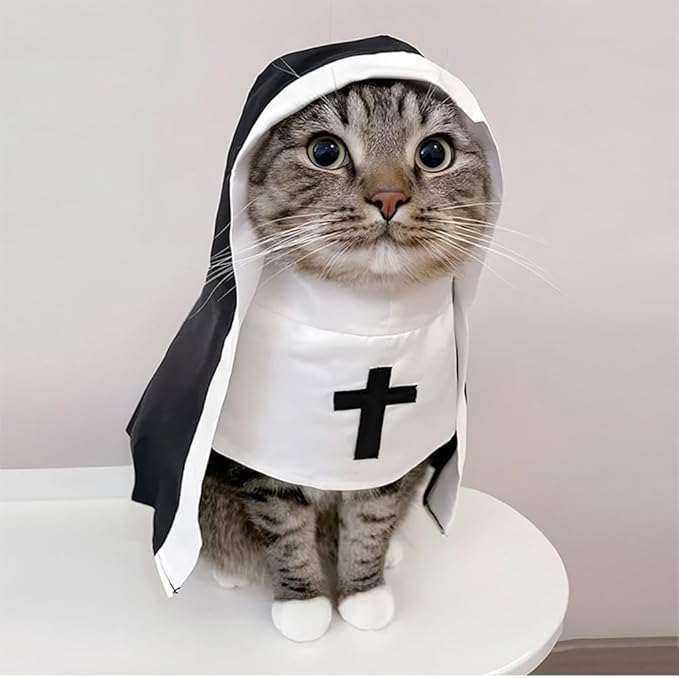Cat Costume Nun Dress, Nun Dog Costume, Funny Halloween Cloak Outfit for Cat Small Medium Dogs, Cosplay Apparel for Photoshoots Parties Social Media, Adorable Pet Clothing (Black, Small)
