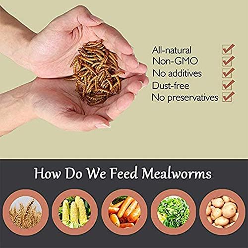 HANDPOINT 2 lbs Dried Mealworms, 100% Non-GMO Natural High-Protein,Treats for Chicken, Fish, Bird Food(2LB)