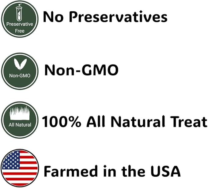 Natural Spray Millet 1lb (Only Edible Tops) Stemless- Non-GMO, Chemical-Free, Hand-Harvested Fresh Treat for Parakeets, Cockatiels, Finches, and Small Pets
