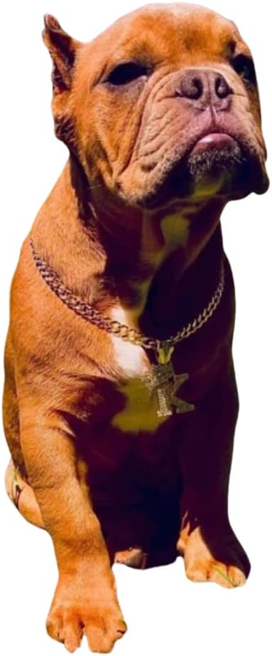 Initial Letter Cuban Chain Dog Chain Pet Chain Pet, Cat, Puppy Necklace (K, 22")