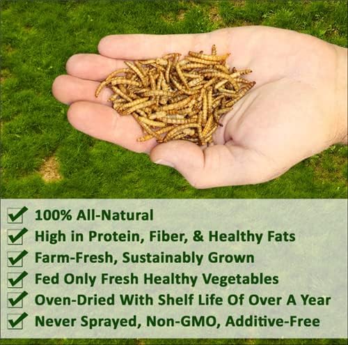 Dried Mealworms - 100% Natural, Non-GMO, High Protein, Bulk Insect Treat for Chicken, Laying Hen, Chick, Wild Bird, Bluebird, Duck, Goose, Turkey, Chickadee, Titmice, Wren, Reptile, Fish (44 lb.)