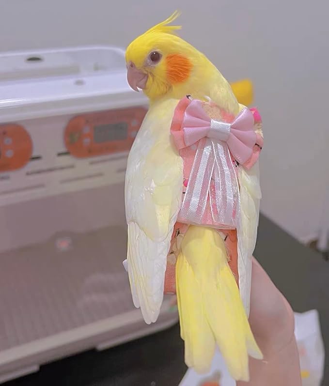 Bird Flight Suits Diapers, Parrot Diapers for Monk Parakeets, Cockatiels, Parrot Clothes Costume, Bird Training Nappy Suit Liners Clothes (Small,Light Pink)