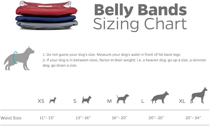 Pet Parents® Washable Belly Bands for Male Dogs (3pack) + Extendrs® of Durable Dog Diapers Male, Premium Male Dog Diapers & Dog Wraps (Large, Kingsmen)