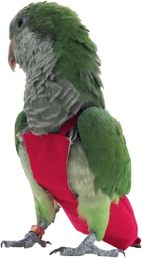 Parrot Diaper Bird Flight Suit, Bird Clothes, Waterproof Lining Pet Bird Supplies (2XL, Red)