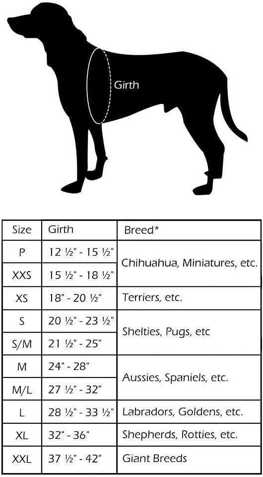 ComfortFlex Sport Dog Harness – No-Choke, Fully Padded, Non-Chafing Harness with Control Handle – Reflective, Lightweight, Adjustable for Active Dogs - Petite, Mariner Blue