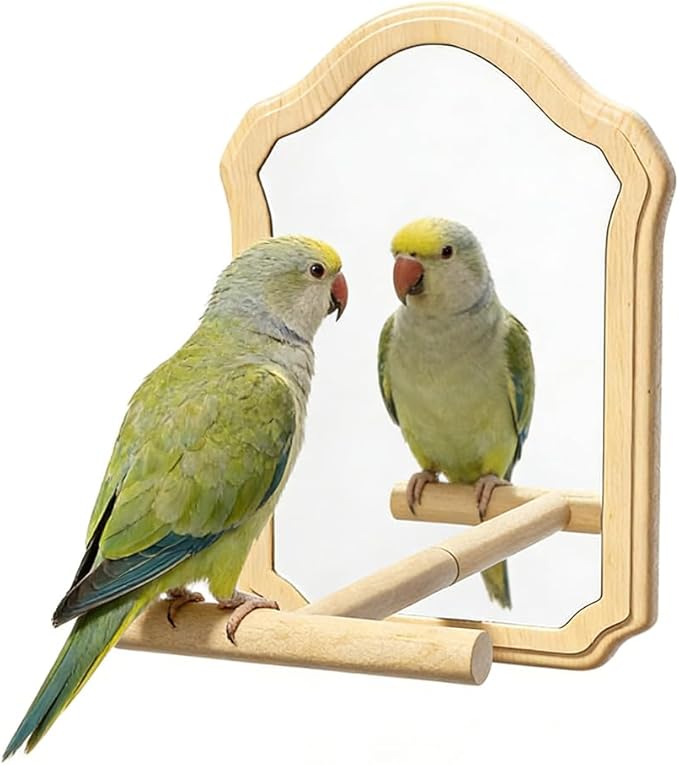 Mirror with Perch for Parrots, Wooden Standing Bird Mirror Toy Chewing Perch with Reflective Mirror for Cockatiel, Lovebird, Parakeet, Bird Cage Accessories ﻿ (Small Mirror 15cm)