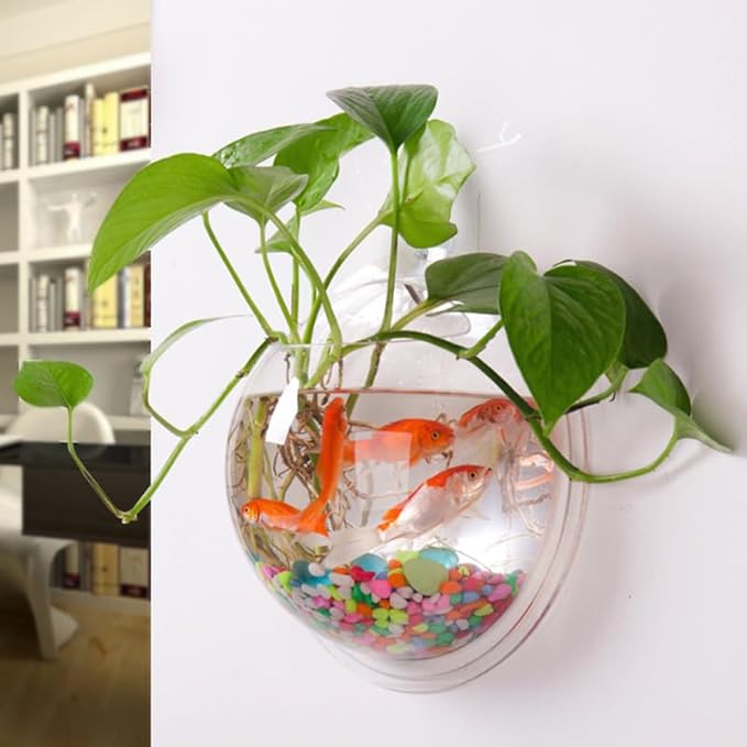 balacoo Wall Mounted Fish Tank 6.7 Inch Acrylic Aquarium with Hanging Design for Home Decor Transparent Fish Bowl with Random Aquatic Plants Ideal for Betta and Small