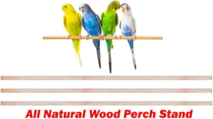63" Roof Top Bird Flight Parrot Pet House Home Cage with Removable Rolling Stand for Cockatiel Sun Conure Parakeet Finch Budgie Lovebird Canary