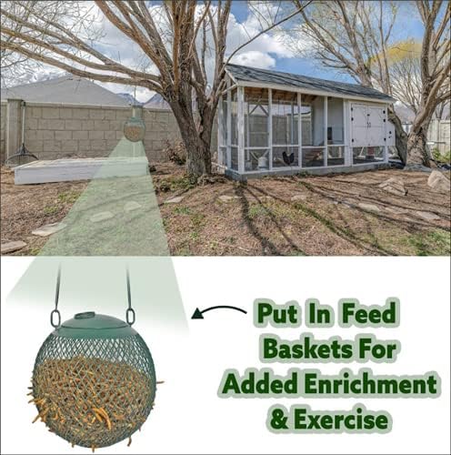 Dried Mealworms - 100% Natural, Non-GMO, High Protein, Bulk Insect Treat for Chicken, Laying Hen, Chick, Wild Bird, Bluebird, Duck, Goose, Turkey, Chickadee, Titmice, Wren, Reptile, Fish (88 lb.)