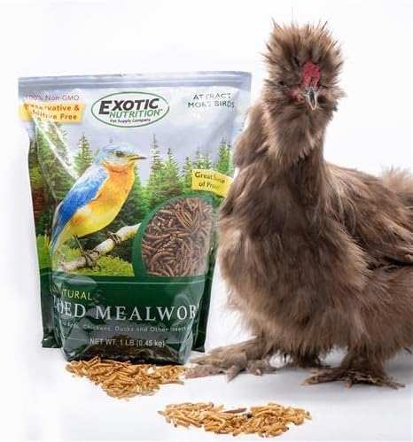 Dried Mealworms - 100% Natural, Non-GMO, High Protein, Bulk Insect Treat for Chicken, Laying Hen, Chick, Wild Bird, Bluebird, Duck, Goose, Turkey, Chickadee, Titmice, Wren, Reptile, Fish (22 lb.)