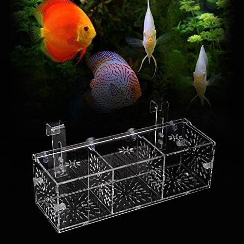 Aquarium Breeder Box, Transparent Acrylic Fish Isolation Box Fish Hatchery Incubator Holder for Newborn Fry Shrimp Guppy (30CM*10CM*10CM)
