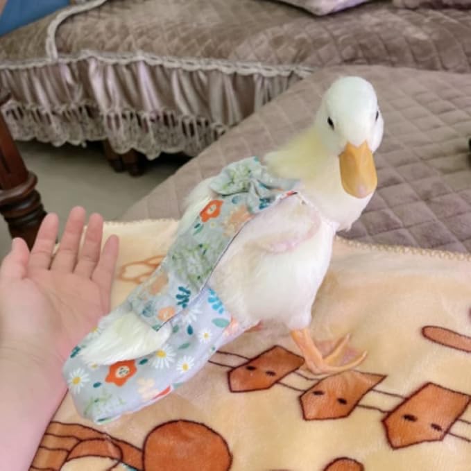 Duck and Chicken Diapers - Special Waterproof, Adjustable, Washable and Reusable for Poultry, Goose - Supplies (750g-900g)
