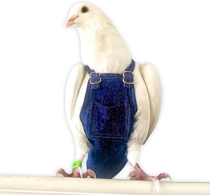 Bev's Bird Boutique Regular Flyper Adjustable Bird Diaper | Reusable, Washable Cloth | Comfort Fit for Parrot, Cockatiels, & Other Small Birds | Fashionable Avian Accessories, Dungaree Jeans, Size 9.5