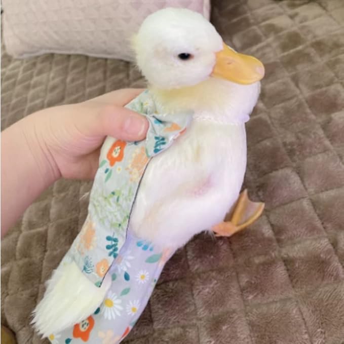 Duck & Chicken Poultry Diapers - Waterproof, Adjustable, Washable & Reusable (4kg-5kg)