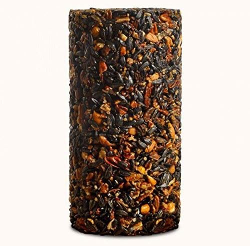 2-Pack Mr. Bird Woodpecker Feast Small Cylinder | Wild Bird Food for Outdoor Birds | Backyard Birdfeeding