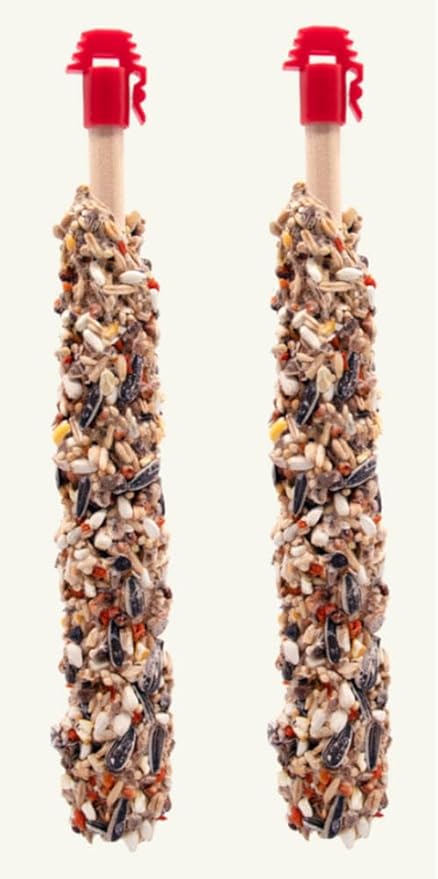 Higgins Sunburst Gourmet Avian Treat Sticks for Parrots. Carrot & Dandelion 2pk. 4.9oz.