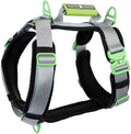 Ultimate Urban Premium Dog Harness - No Choke/Pull/Escape Dog Harness with Adjustable Padding,Heavy Duty, Easy On/Off, High Strength Buckles, Emergency Handle and 3 Connect Points (Silver, XS)