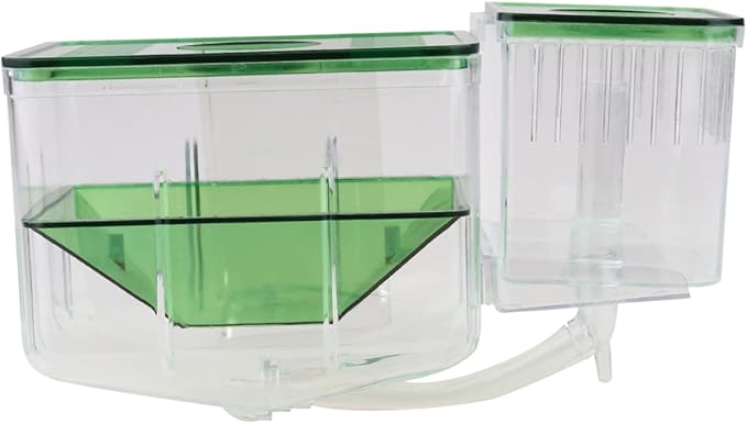 Isolated Breeding Tank for Fish Transparent Incubator Box Protects Newborns Pregnant Fish for Aquarium Use Enhances Survival Rates