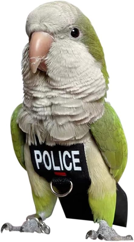 Bird Clothes Parrot Diapers Bird Flight Suits, Reusable Waterproof Diapers pet Bird Supplies (2XL)