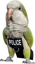 Bird Clothes Parrot Diapers Bird Flight Suits, Reusable Waterproof Diapers pet Bird Supplies (3XL)