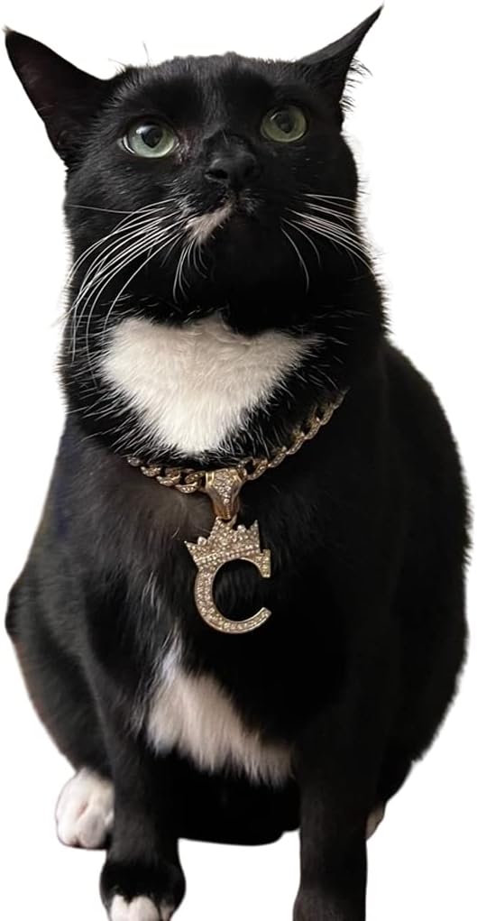 Initial Letter Cuban Chain Dog Chain Pet Chain Pet, Cat, Puppy Necklace (L, 12")