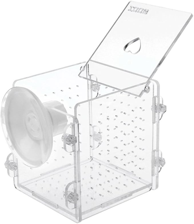 Fish Breeding Box Clear Acrylic Fish Isolation Boxes Aquarium Hatchery Incubator with Suction Cup for Newborn Shrimp