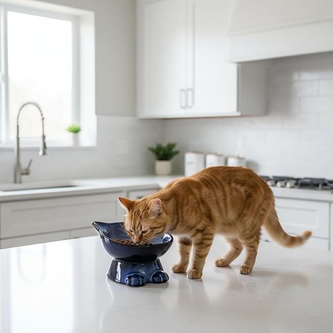 Nihow Slanted Elevated Cat Bowls: 5 Inch Ceramic Raised Cat Food Bowl for Protecting Pet's Spine - Microwave & Dishwasher Safe -Elegant Blue & Black (4.5 OZ /1 PC)